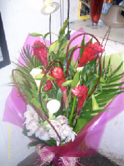dsci0022.jpg