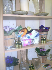 dsci0024.jpg