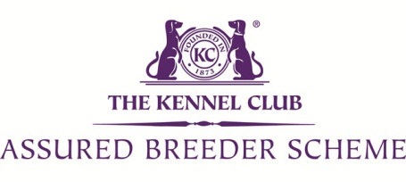 KC-Assured-Breeder.jpg