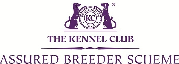 Kennel-Club-Assured-Breeder-Scheme-Logo.jpg