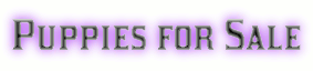 pups-4-sale-logo.gif