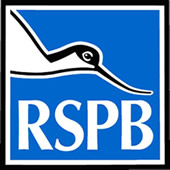 rspb.jpg