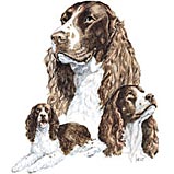 springers-group-small.jpg